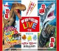 カバヤ食品