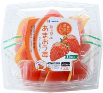 北辰フーズ