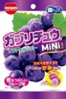 明治チューインガム