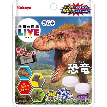カバヤ食品