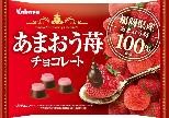 カバヤ食品