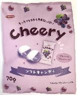 エヌエスグループ