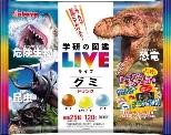 カバヤ食品