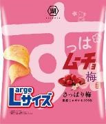 湖池屋