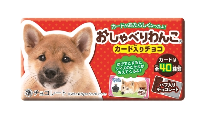 正栄デリシィ