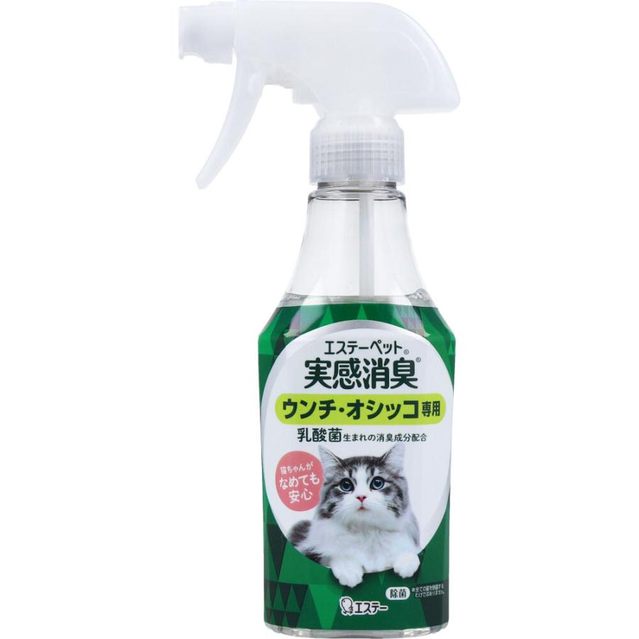 エステー