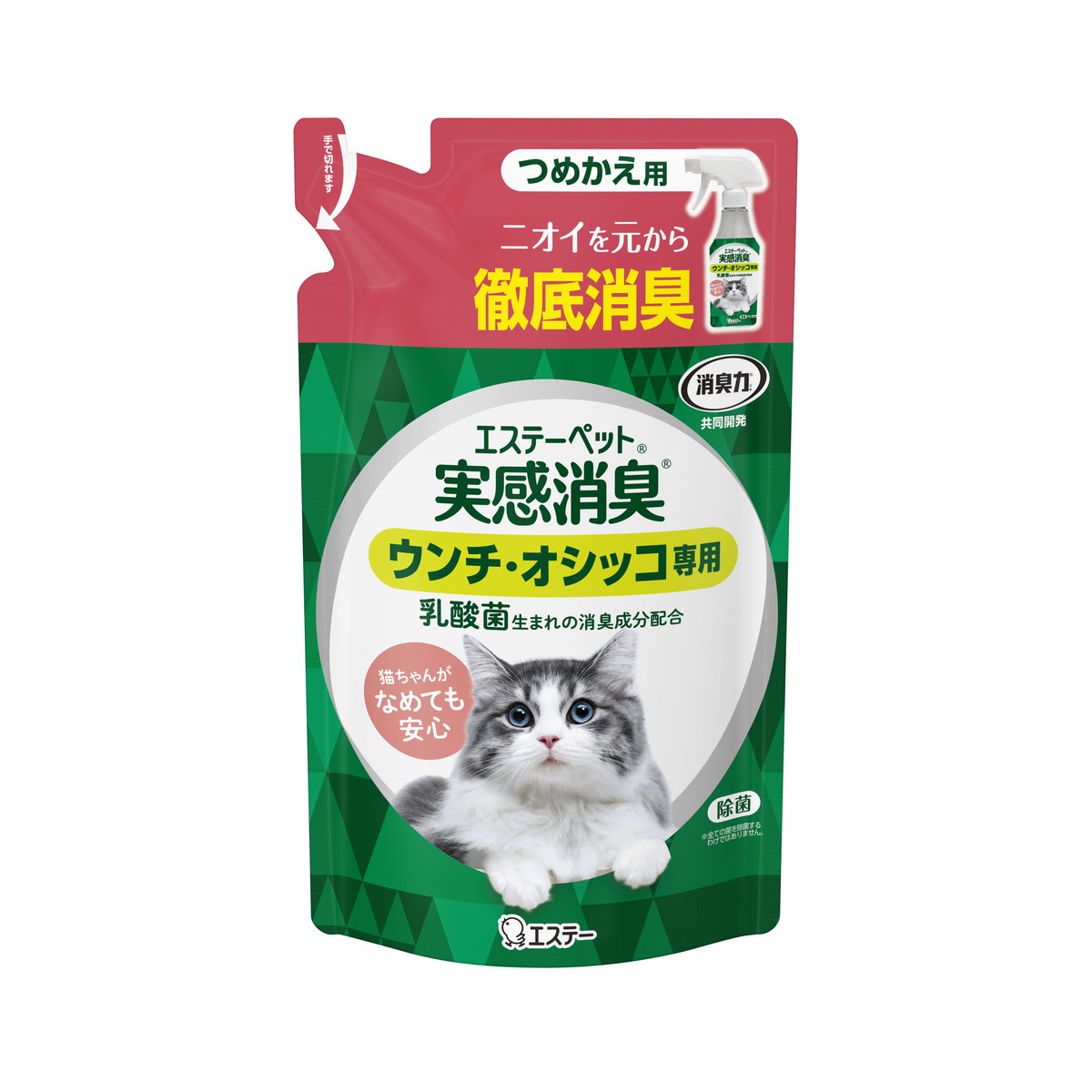 エステー