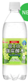 アイリスフーズ