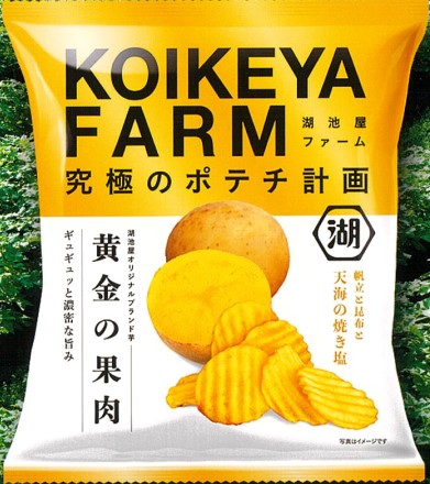 湖池屋