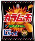 湖池屋