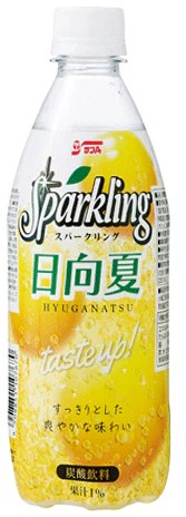 宮崎県農協果汁(サンA)