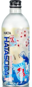 ハタ鉱泉