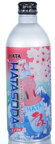 ハタ鉱泉