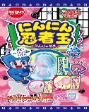 明治チューインガム