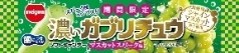 明治チューインガム