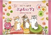 栄光堂F
