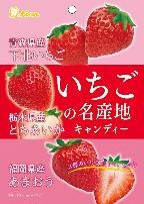 ライオン菓子