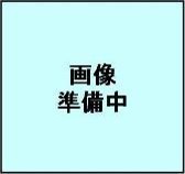 ロッテ